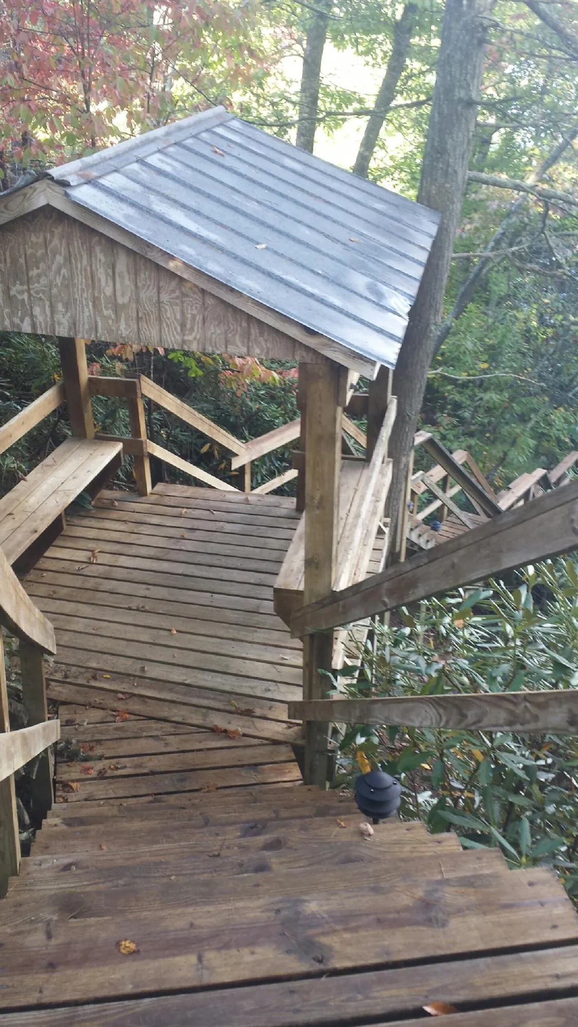 Metal roofed shelter over wooden steps on a wooded walkway — Skylight Repair & Installation work by our crew in Griffith