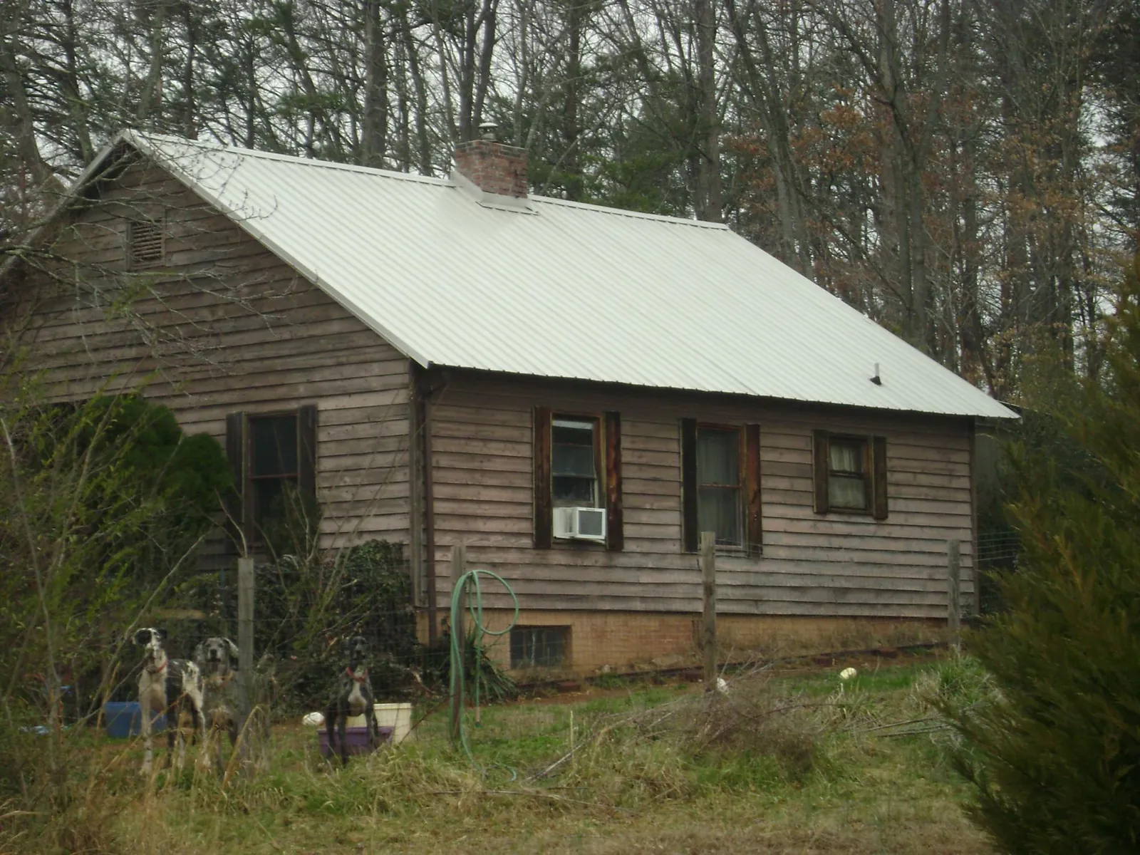 White metal roof on an old wood sided farmhouse, from a Metal Roof Installation job in Griffith